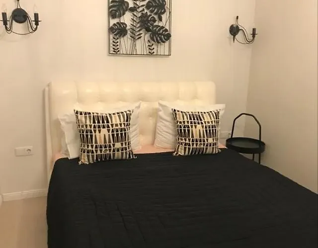 Old Town 公寓 维尔纽斯